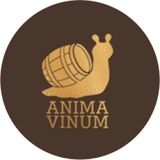 Anima Vinum Logo