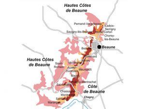 Côte de Beaune, um terroir excepcional no coração da Borgonha