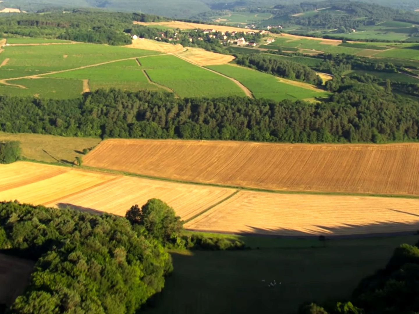 Hautes-Côtes, conheça mais sobre as altas encostas na Borgonha