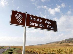 La Route des Grands Crus, 60 km de paisagens por grandes vinhedos de prestígio